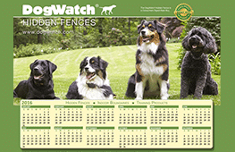 dogwatch calendar watch